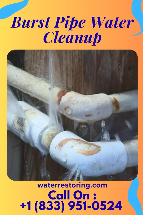 Burst Pipe Water Cleanup in Wessington Springs, SD